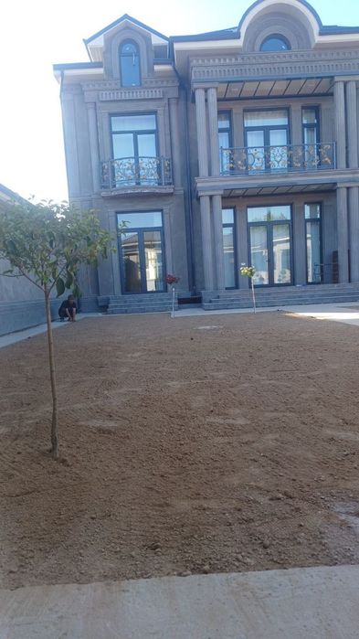 Yevro gazon sifatli va arzon