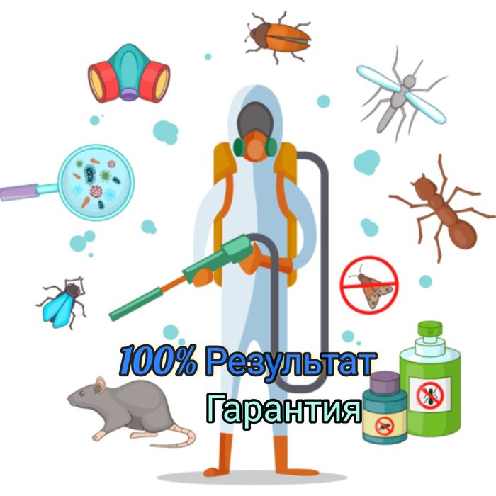 Дезинфекция участка помещения