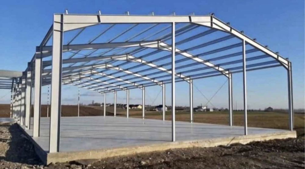 Vand structura metalica 8x22x4 3300€