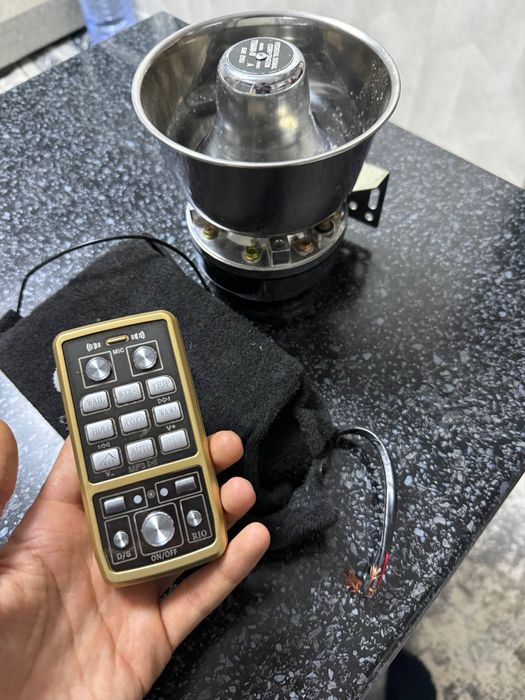 Serena 1 karnay amerika