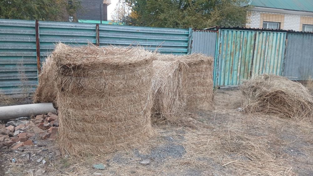 Сено в рулонах разнотравье