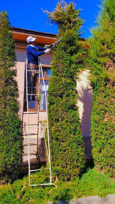 Bogbon sadovnik ishlarini qilamiz arzon va hamyon bob narhlarda