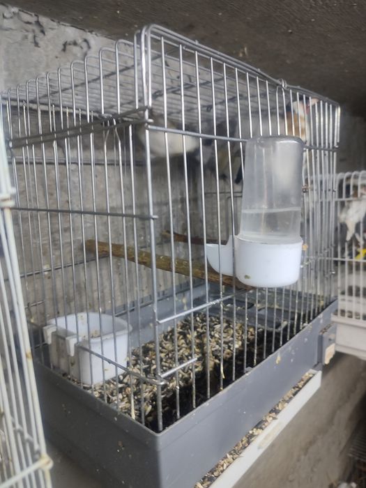 ПРОДАМ СРОЧНО  зимники и летники