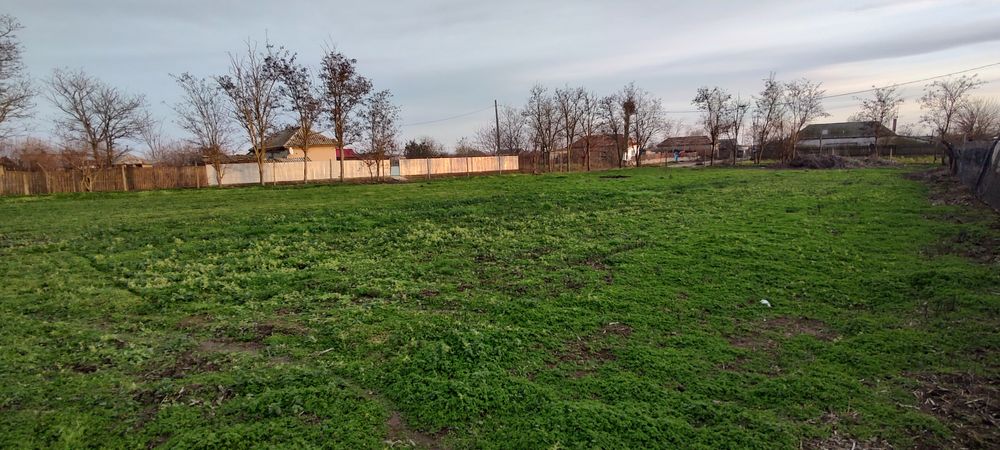 Teren intravilan Sabangia -Tulcea