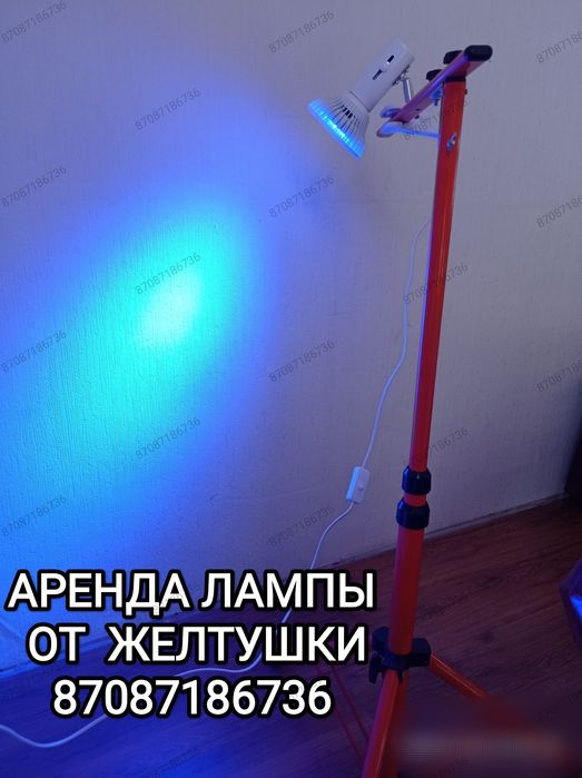 Лампа от желтушки