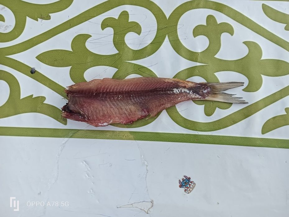 Сушеная рыба. Рыбец