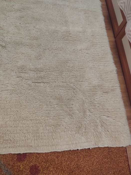 Запазен вълнен китеник