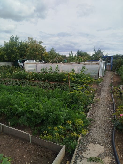 Продам дачу Уралочка