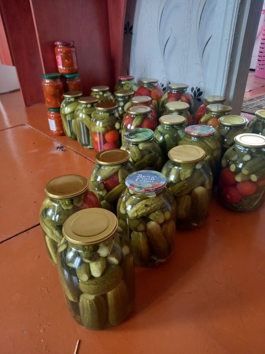 Продам домашние помидоры