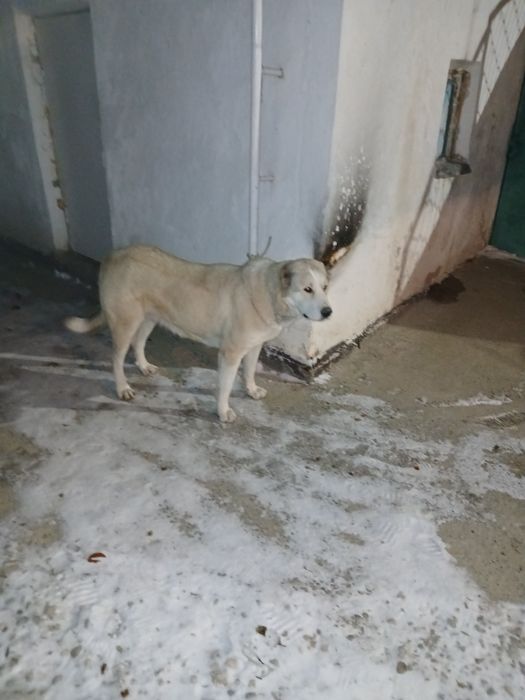 Срочно продам цена 45 000