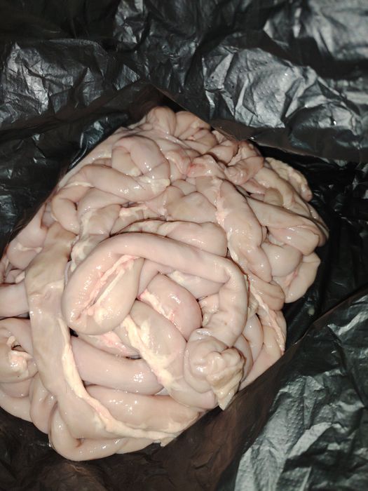 Продам шек Цена 7000 тысяч теңге за кг