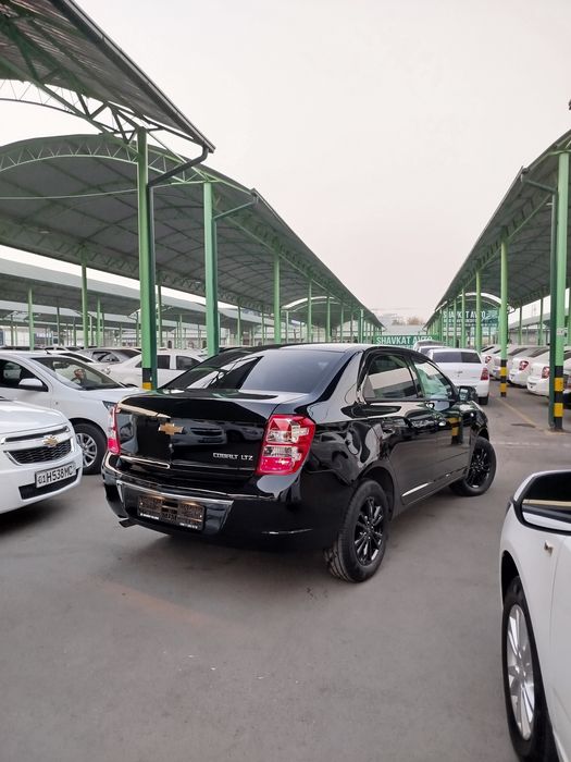 Кобальт МСМ Stayle 25/2026