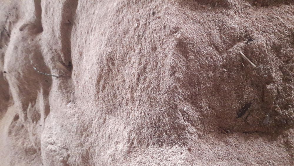 Rumegus uscat de fag pentru afumat sau peleti 400 lei tona