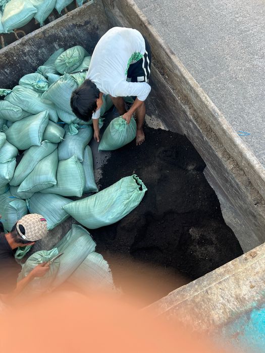 Biogumus Биогумус Gazon urug’lariyam bor.