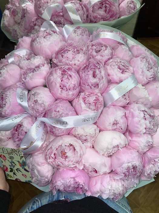 пионы сатылады.