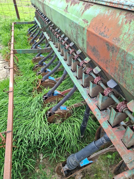 Semanatoare grau sup 29