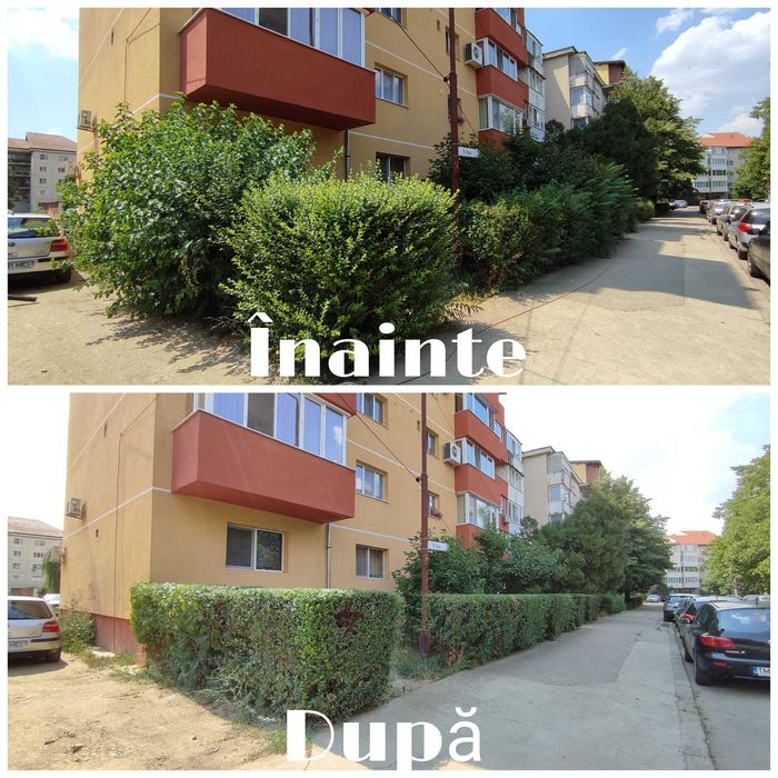 Tai , Tund Iarbă  Defrișări – intervenții rapide/servicii profesionale