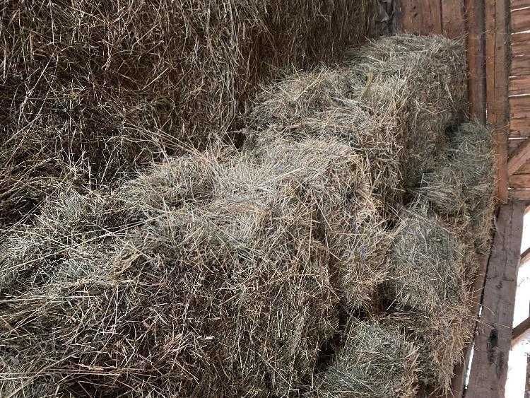 Vand balotoli de fân