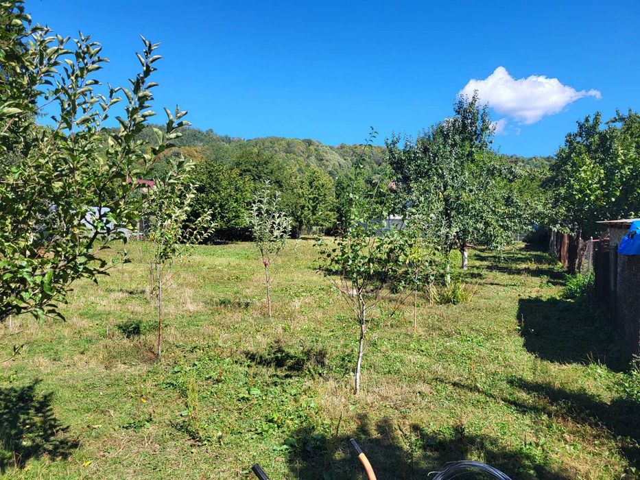 Teren De Vanzare Cornu de Sus Prahova
