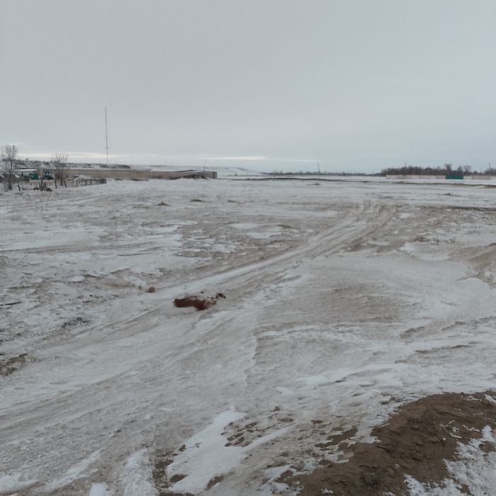 Продам землю в Курайлы