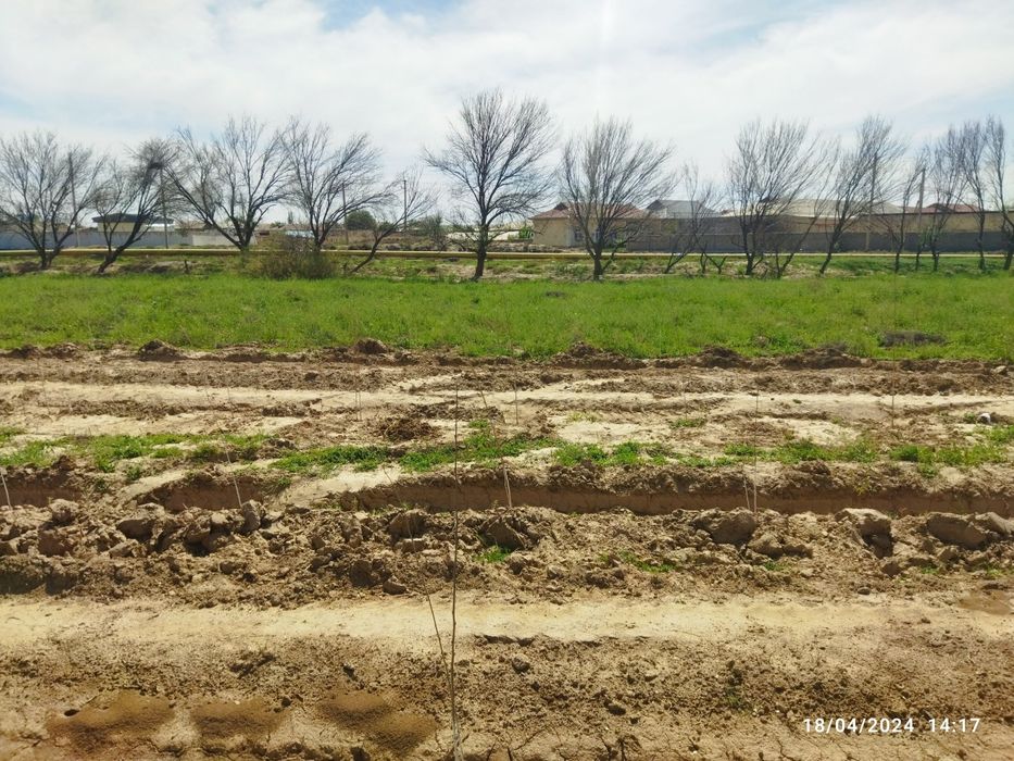 Qarshi ahaharda joylashgan yer uchasrka