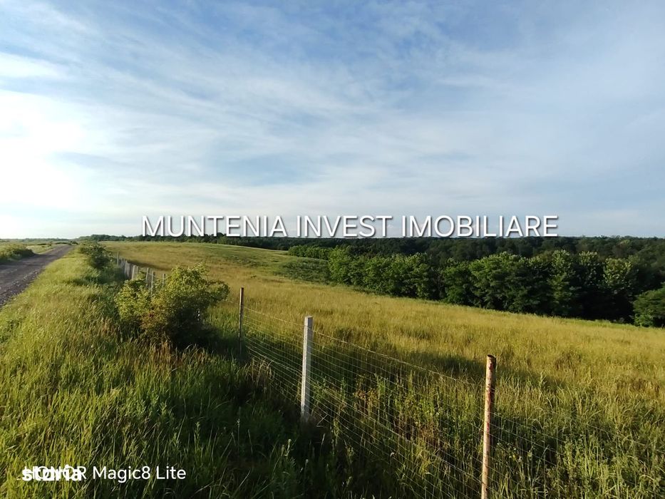 De vanzare 40.800 mp. teren, Calinesti