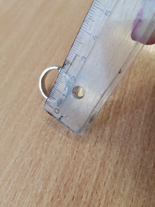 2025 година на змията