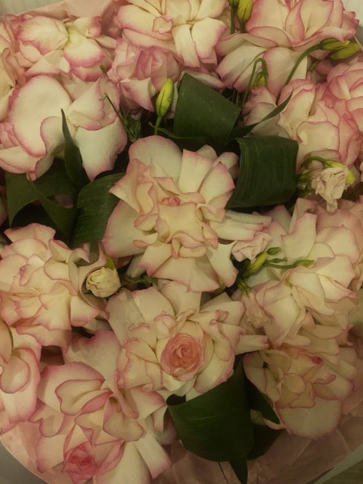 Белые цветы состояние хорошая