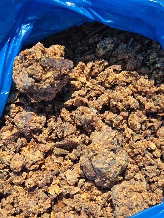 Propolis Albine Brut