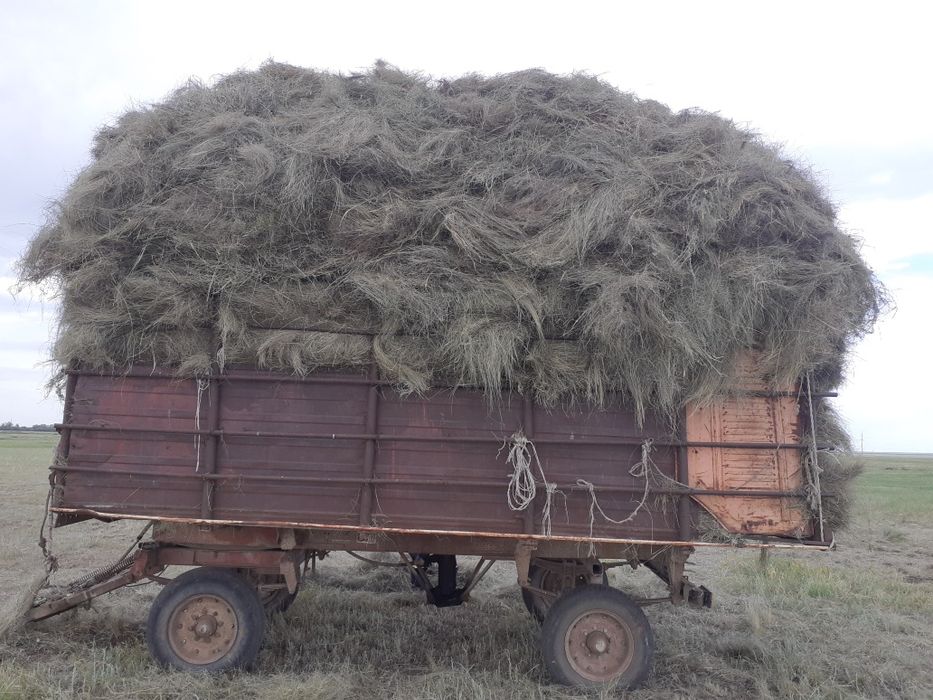 Продам прицеп ПТС4. Самосвал. С документами.