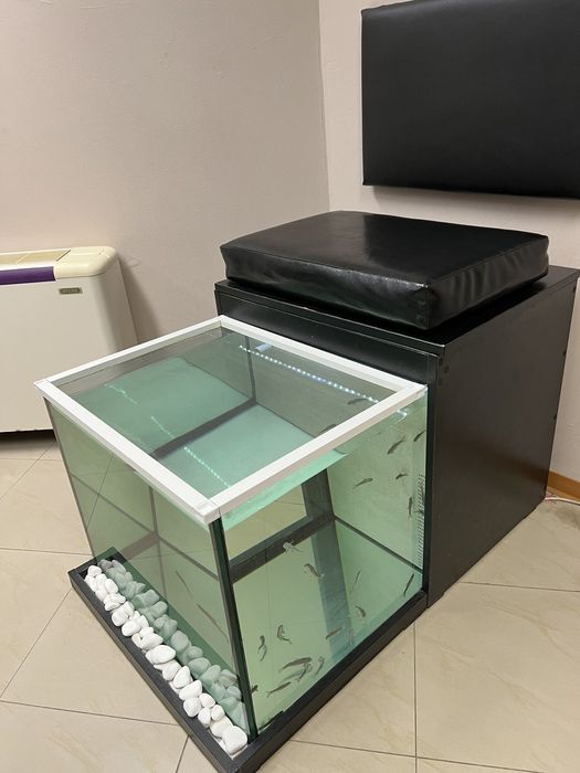 Оборудвани аквариуми за гара руфа