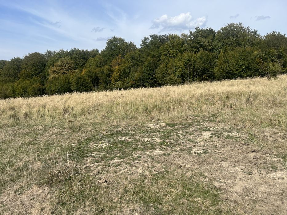 Vand sau schimb !Teren in polilnica (vladeni brasov