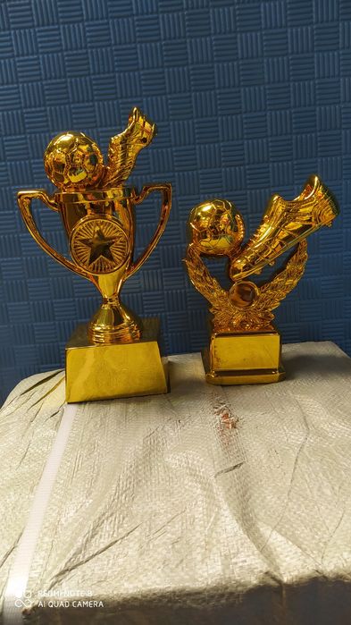 Кубки по футболу