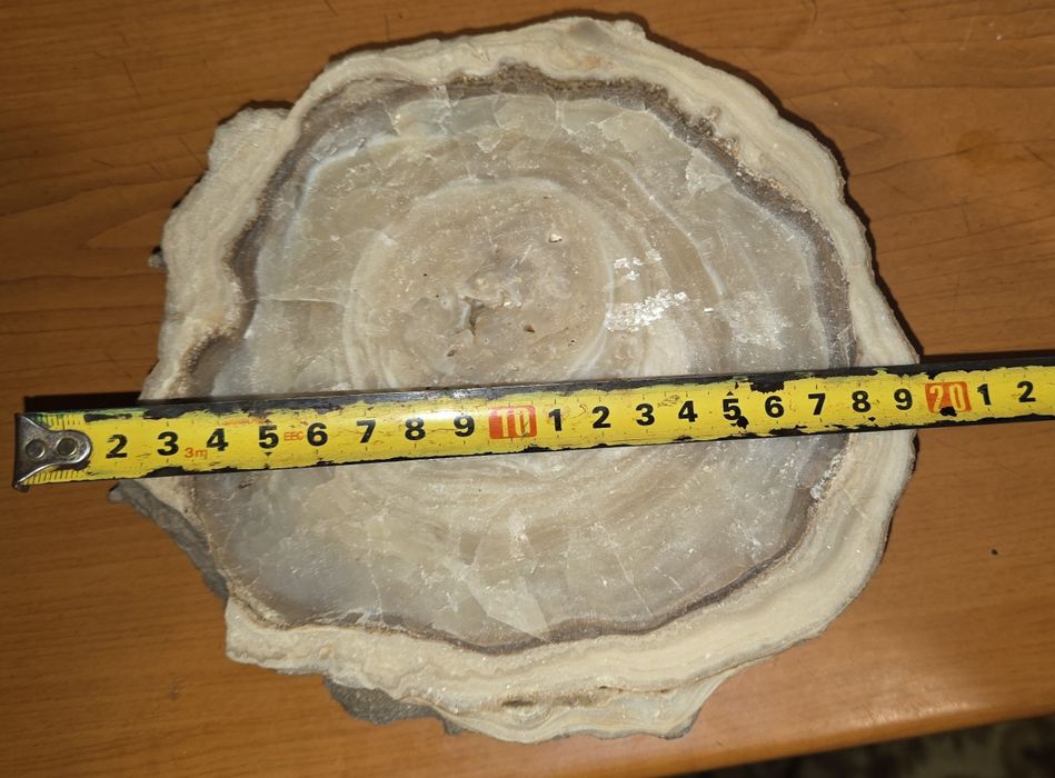 Felie Cuart si 2 scrumiere din piatra