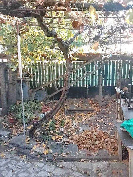 Продава се Къща в Плевен, Идеален център - 120 кв.м за 709 €/кв.м - Снимка #4