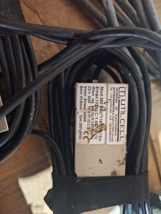 cantar de cantarit Animale