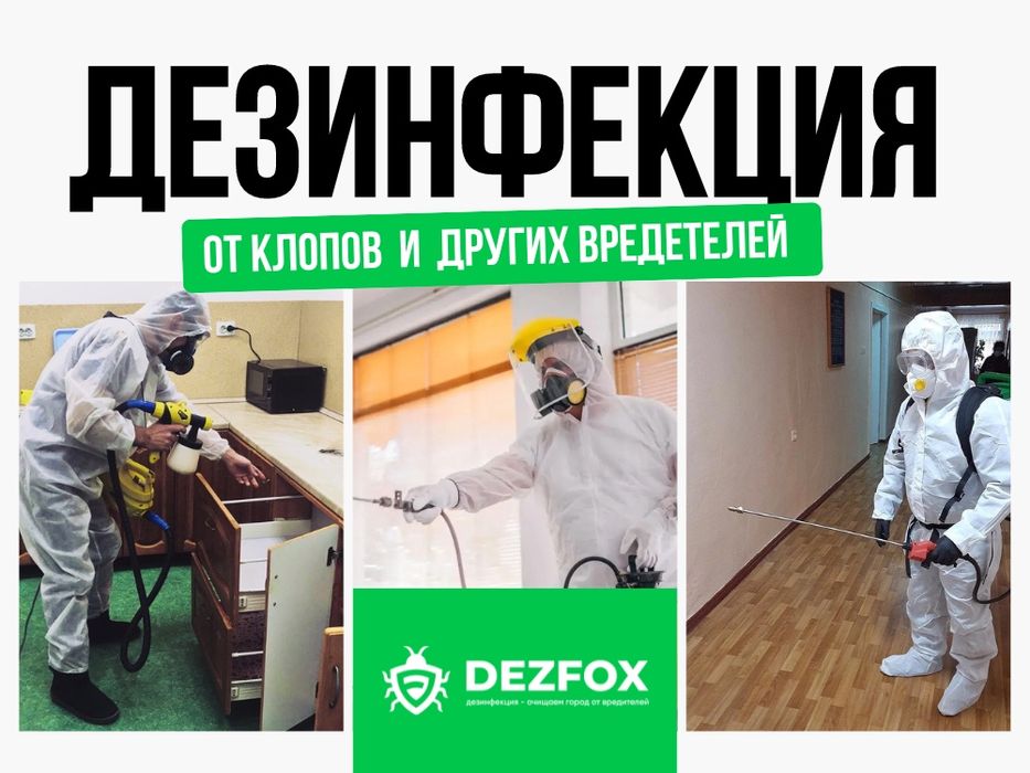 Дезинфекция Помещений От Клопов Грызунов Мышей Крыс Есть Гарантия