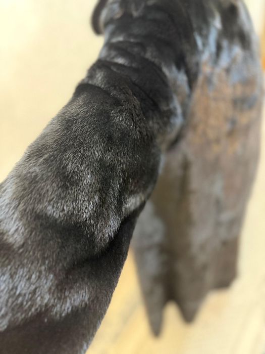 Продам Новую шубу