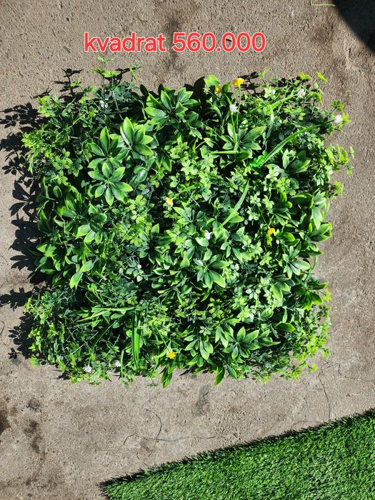 Dekarativne har xil  risunkadagi gullar