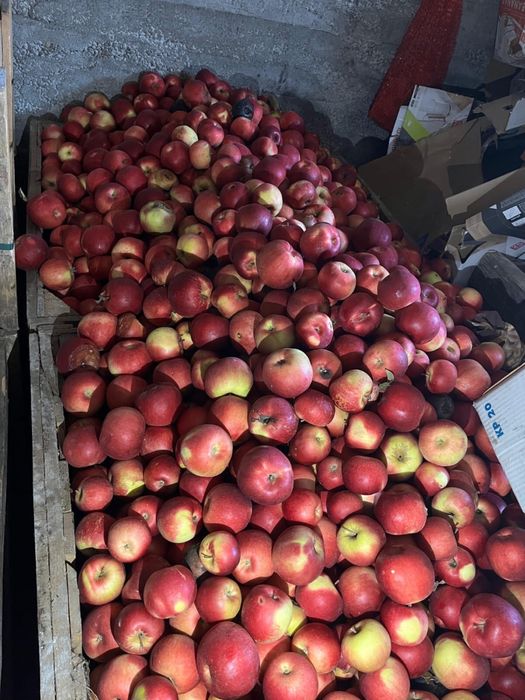 Vand mere diferite soiuri