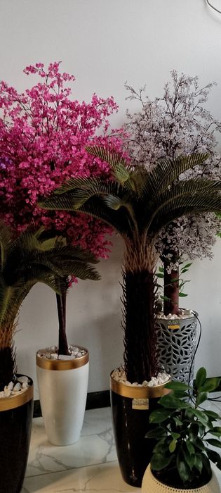 Суний дарахтлар олами суний гуллар.