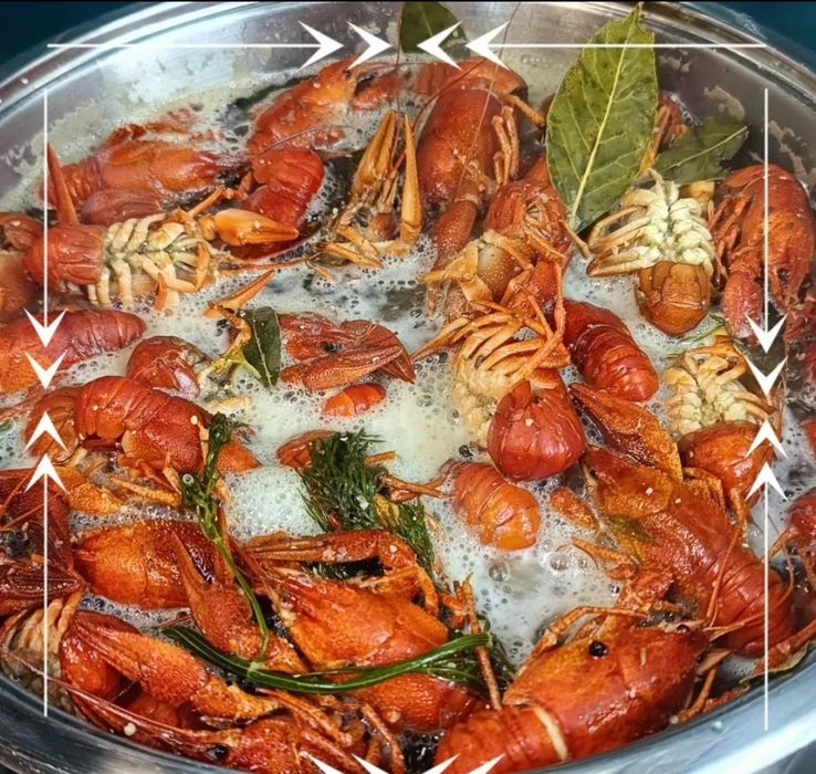 Живые раки раки местные