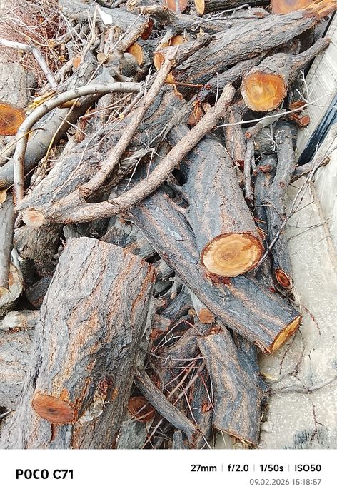 У́тин сотилади 1 лабо