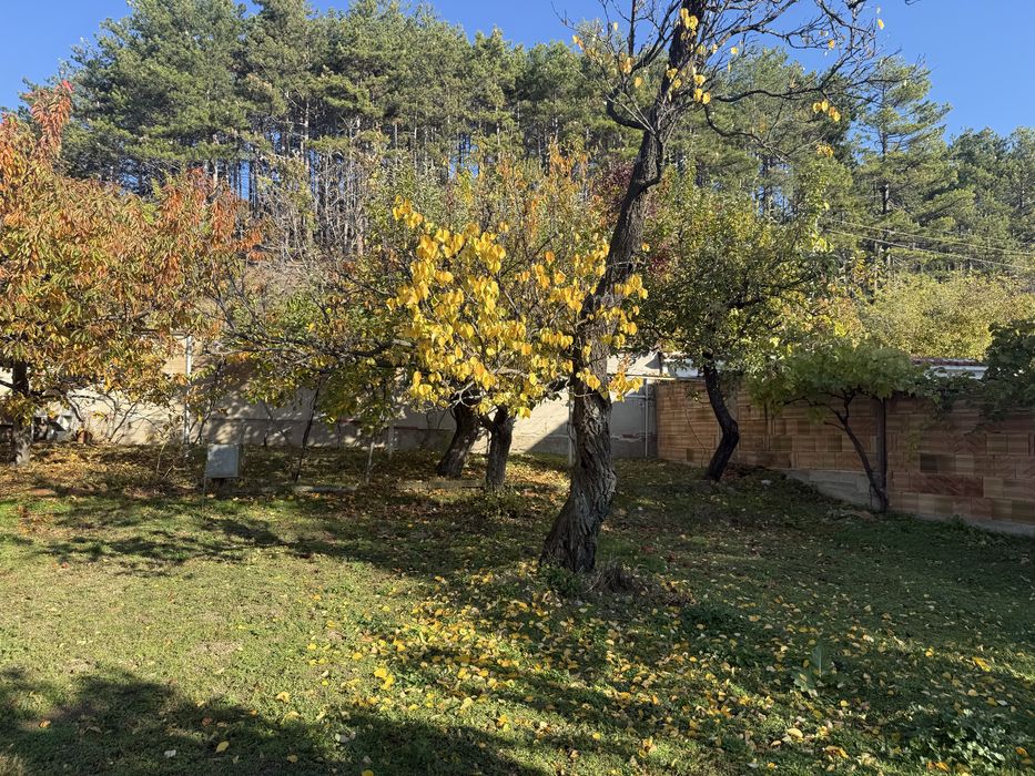 Продава се Къща в с. Ясеново, Област Стара Загора - 180 кв.м за 567 €/кв.м - Снимка #3