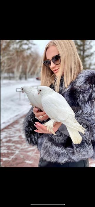 Свадьбы фото  и запуск голубей