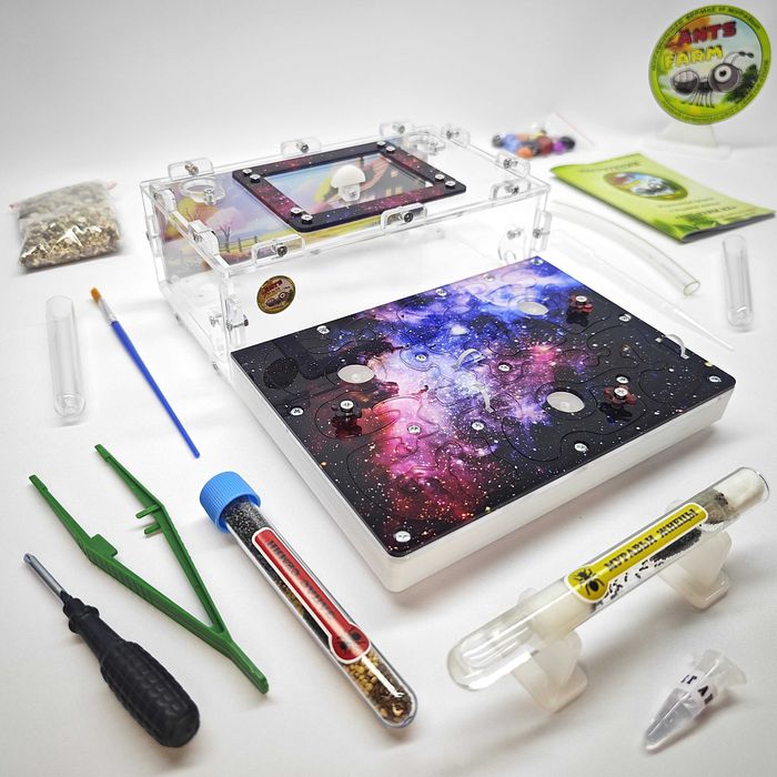 ГИПСОВЫЙ Формикарий "ADVANCED" ||| Муравьиная ферма - Муравьи жнецы