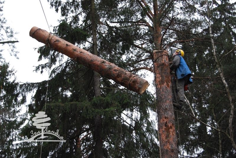 Спиль деревьев любой сложности