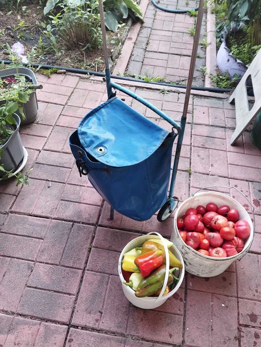 Сумка тележка СССР