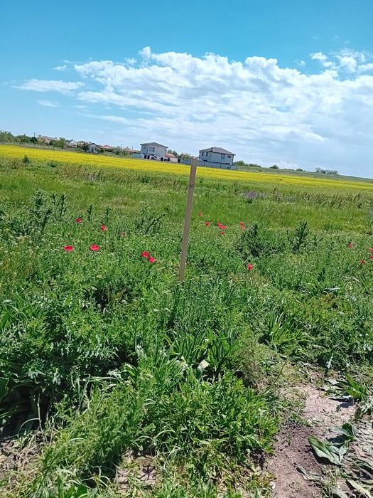 Vand teren intravilan in Techirghiol