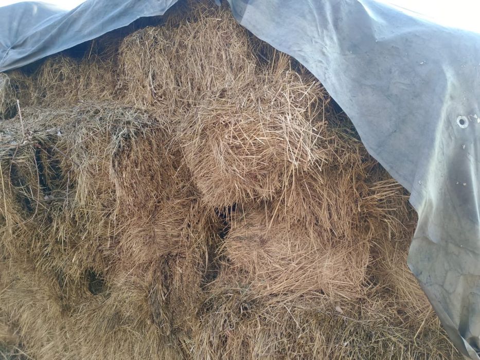 ТЮК по  1300 продам